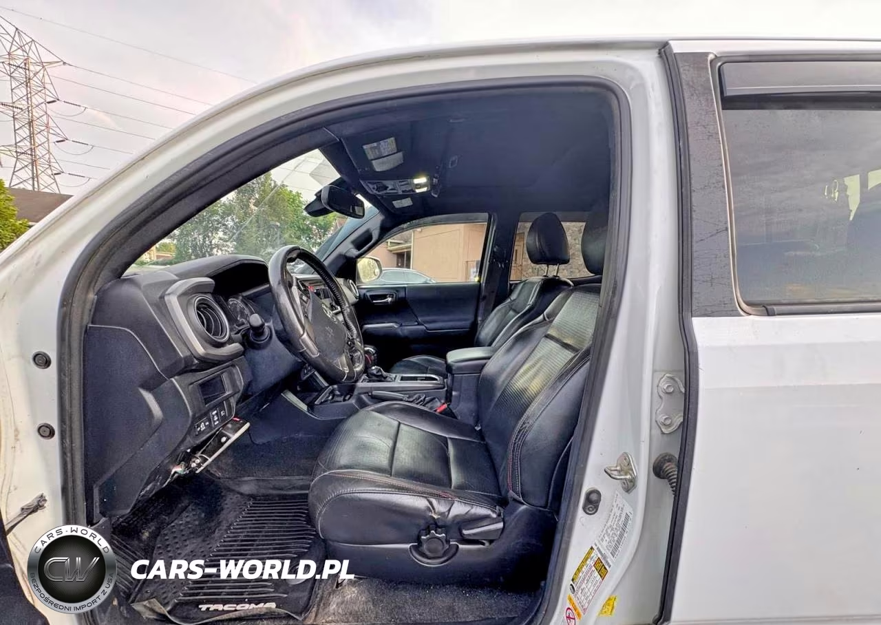 2019 Toyota Tacoma Trd Pro VIN:5TFCZ5AN5KX175588 - 12
