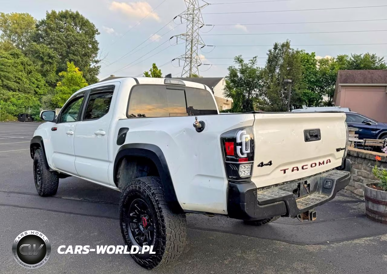 2019 Toyota Tacoma Trd Pro VIN:5TFCZ5AN5KX175588 - 2