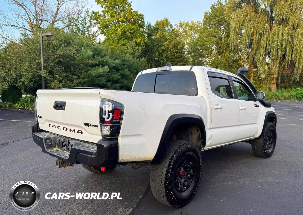 2019 Toyota Tacoma Trd Pro VIN:5TFCZ5AN5KX175588 - 3
