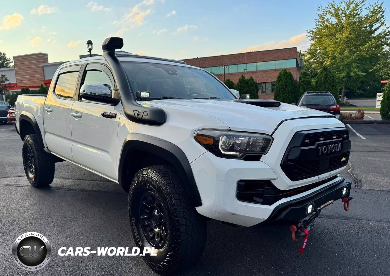 2019 Toyota Tacoma Trd Pro VIN:5TFCZ5AN5KX175588 - 4