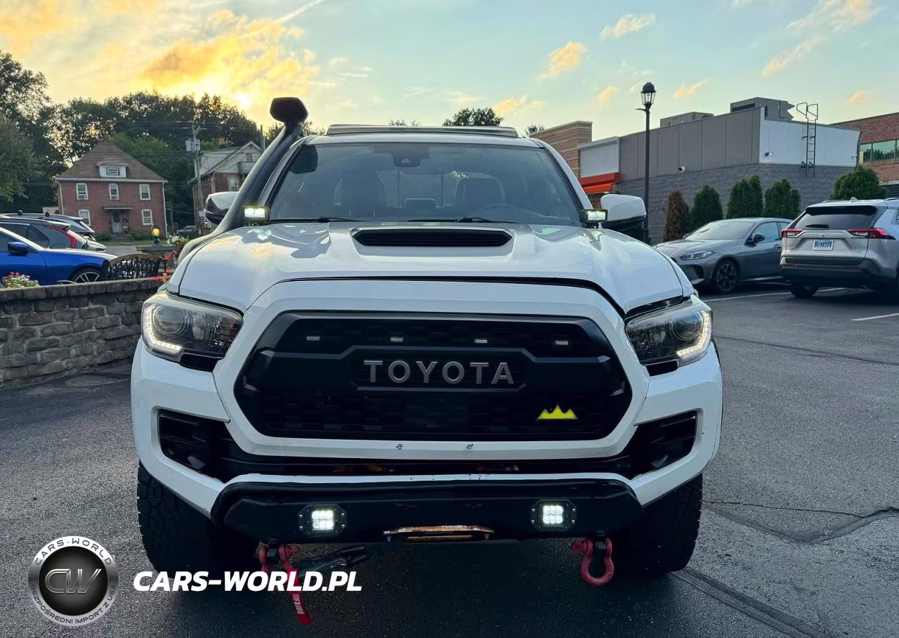 2019 Toyota Tacoma Trd Pro VIN:5TFCZ5AN5KX175588 - 6