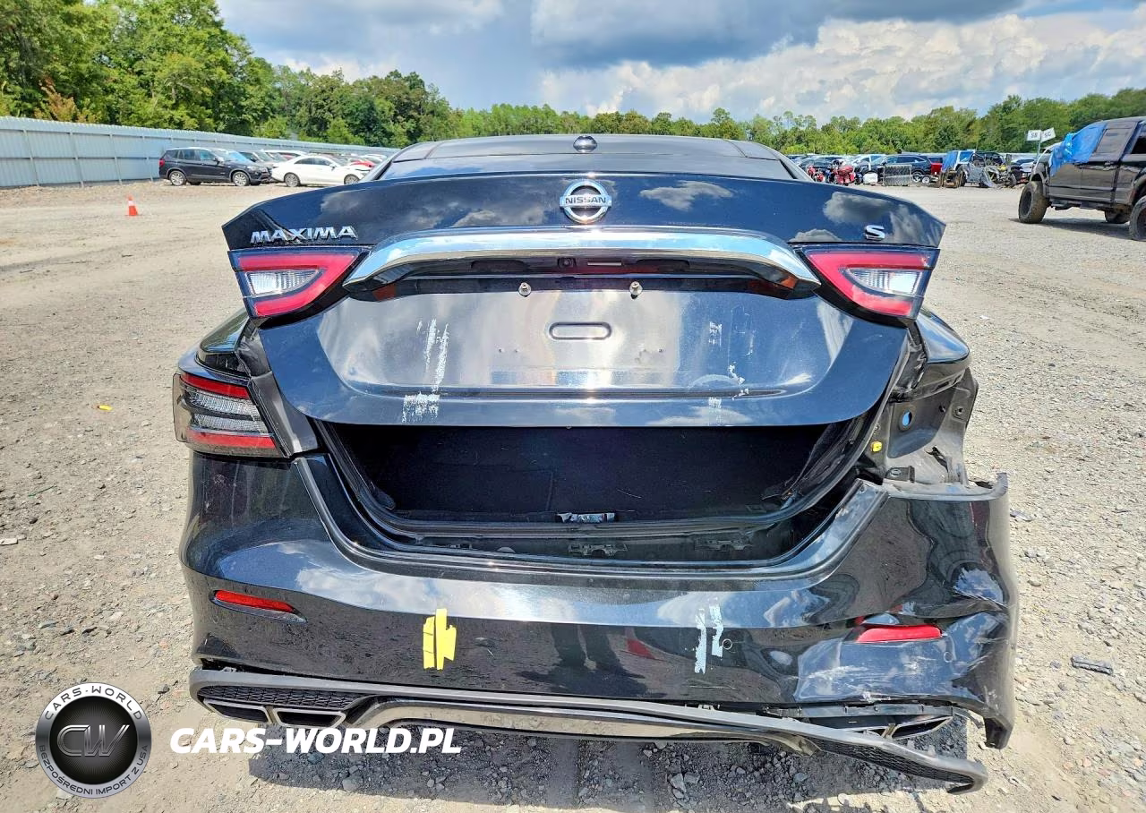 2019 Nissan Maxima 3.5 Sl VIN:1N4AA6AV6KC365286 - 6