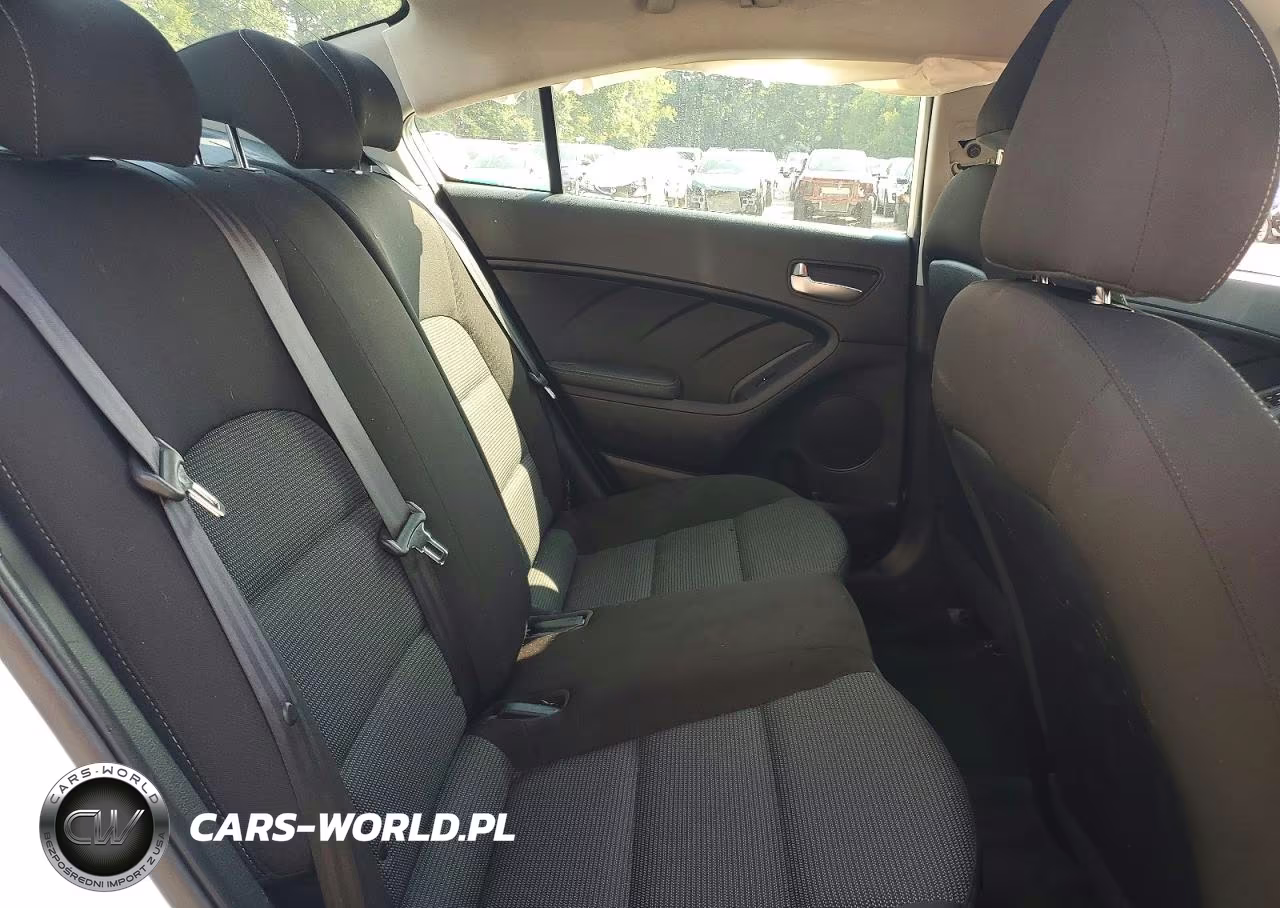 2017 Kia Forte Lx VIN:3KPFK4A77HE092492 - 10