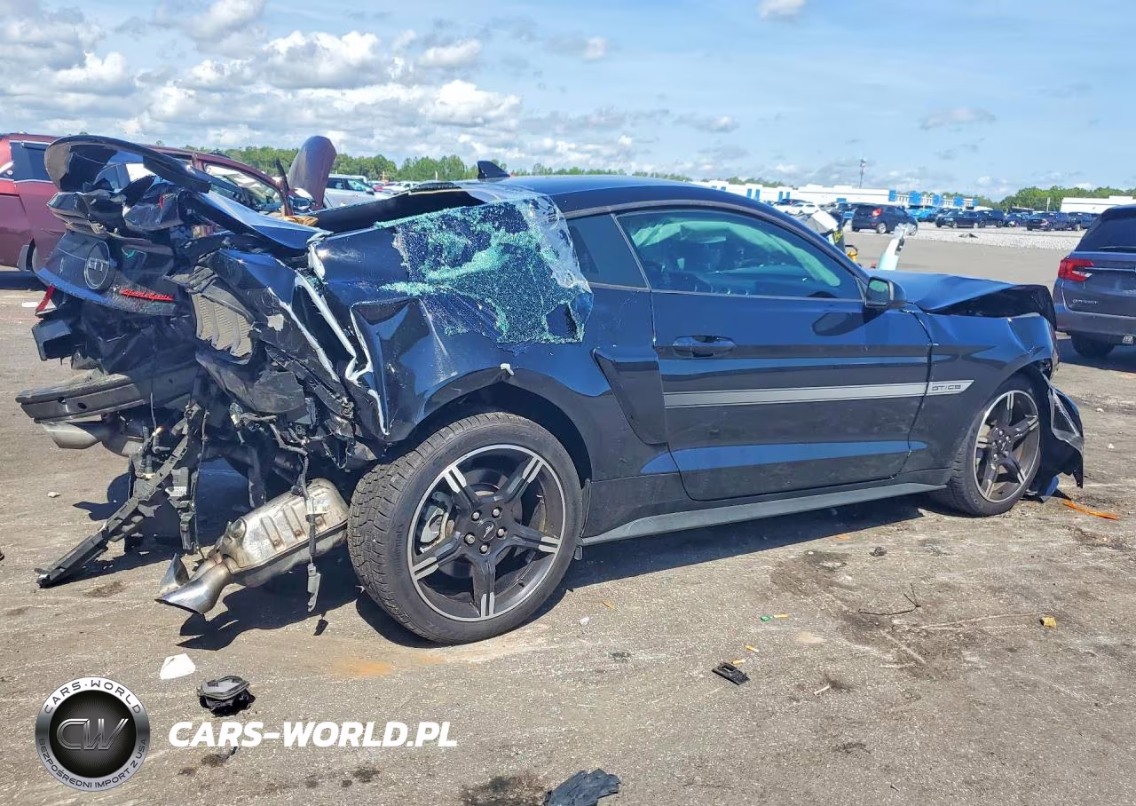 2021 Ford Mustang Gt VIN:1FA6P8CF9M5126845 - 3