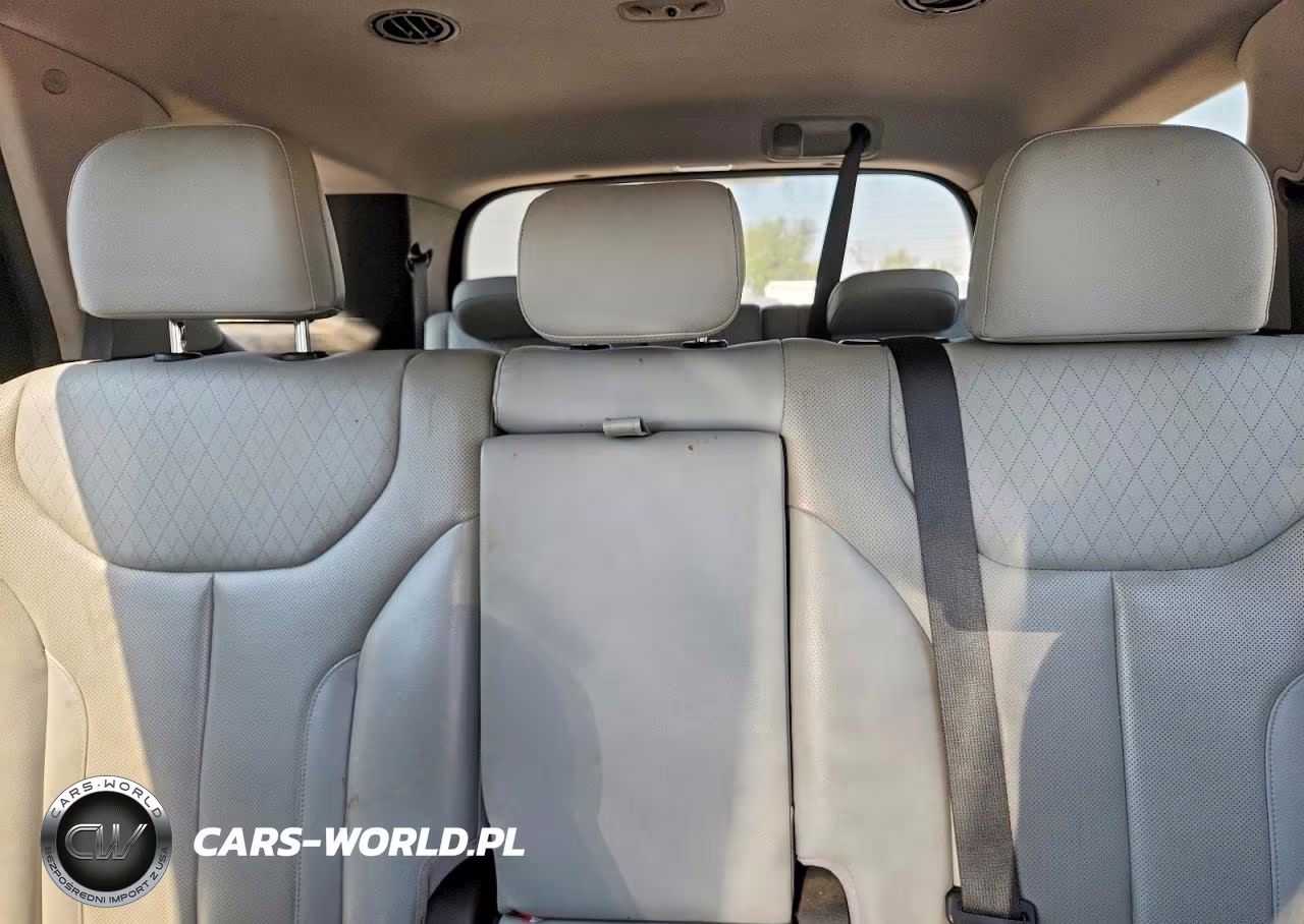 2020 Hyundai Palisade Sel VIN:KM8R44HE2LU038552 - 10