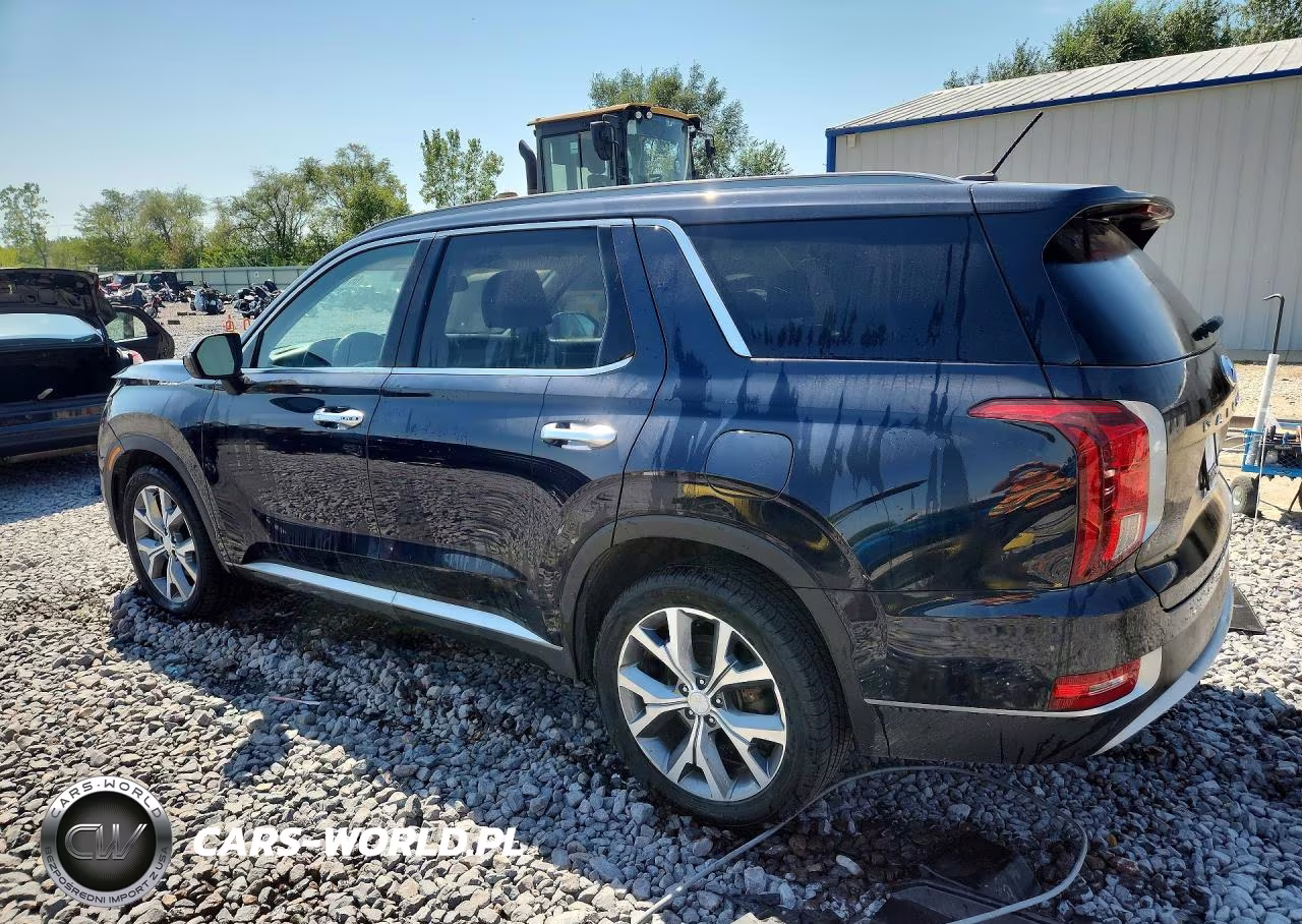 2020 Hyundai Palisade Sel VIN:KM8R44HE2LU038552 - 2