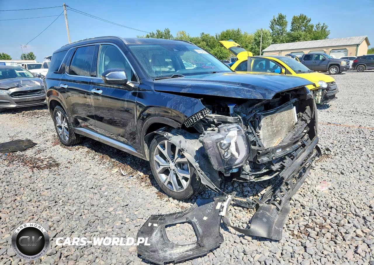 2020 Hyundai Palisade Sel VIN:KM8R44HE2LU038552 - 4