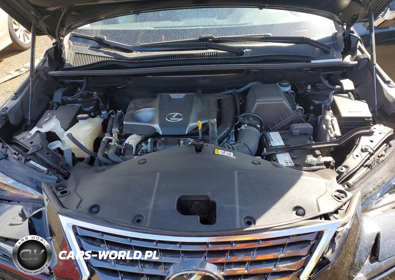 2021 Lexus Nx 300 Base VIN:JTJDARDZ7M5029741 - 12