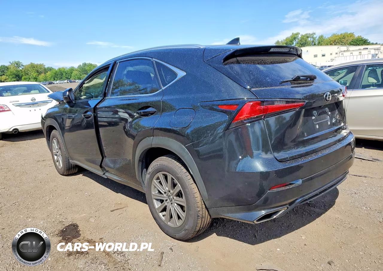 2021 Lexus Nx 300 Base VIN:JTJDARDZ7M5029741 - 2