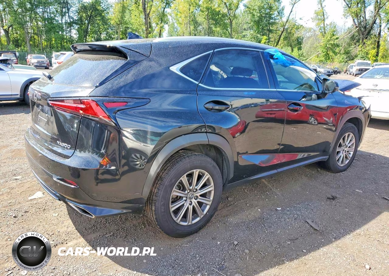 2021 Lexus Nx 300 Base VIN:JTJDARDZ7M5029741 - 3