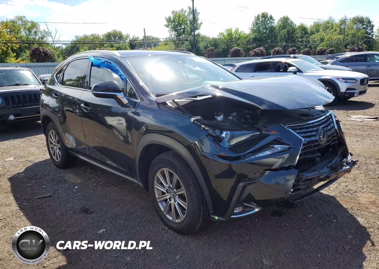 2021 Lexus Nx 300 Base VIN:JTJDARDZ7M5029741 - 4