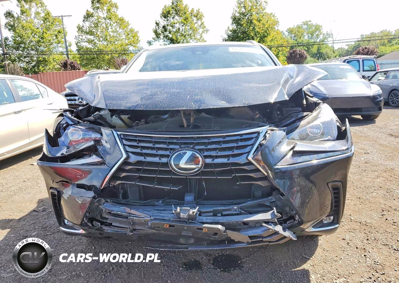 2021 Lexus Nx 300 Base VIN:JTJDARDZ7M5029741 - 5