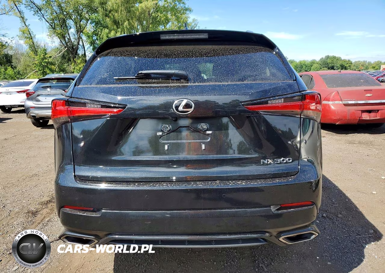 2021 Lexus Nx 300 Base VIN:JTJDARDZ7M5029741 - 6