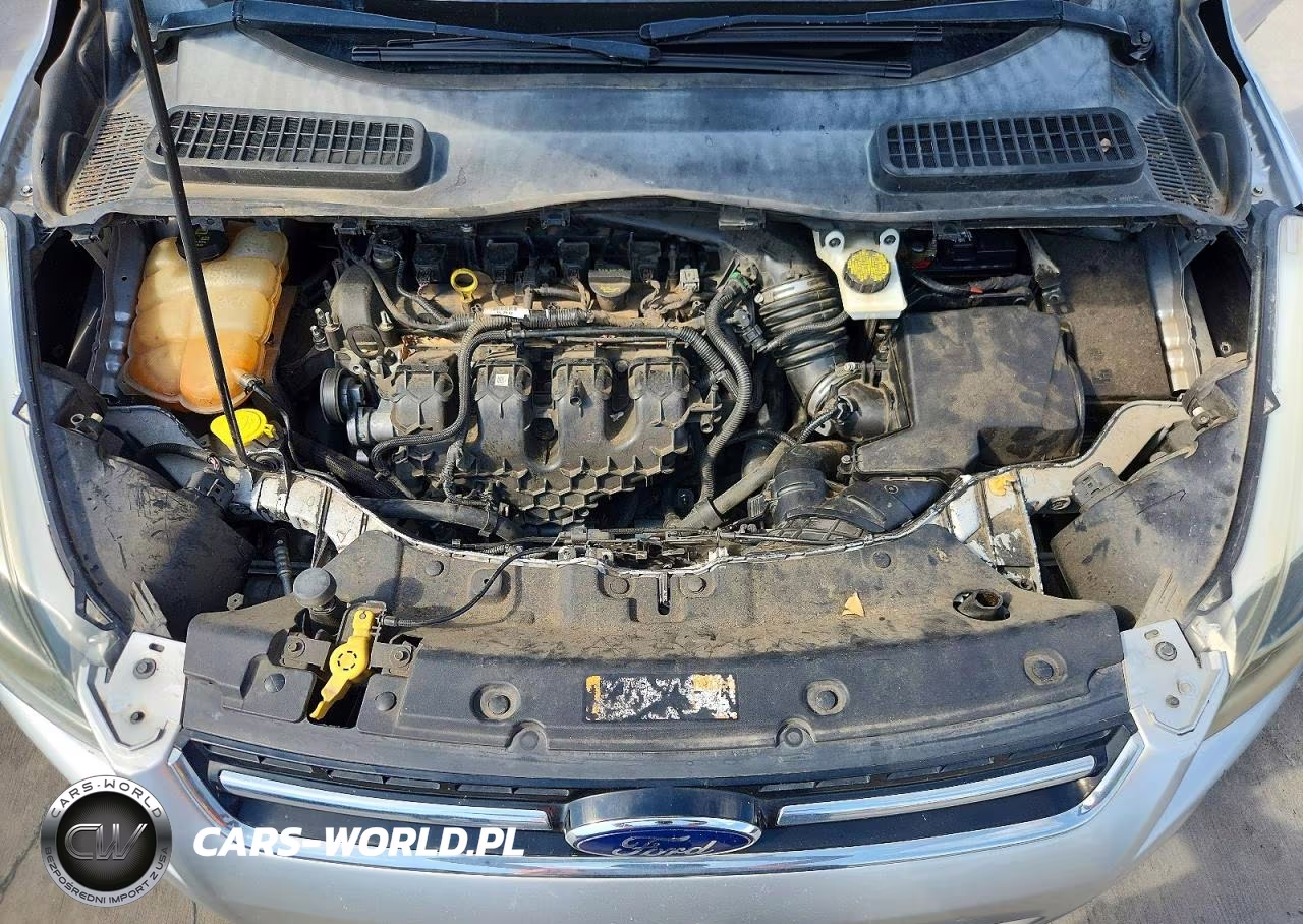 2015 Ford Escape VIN:1FMCU9J90FUB33647 - 12