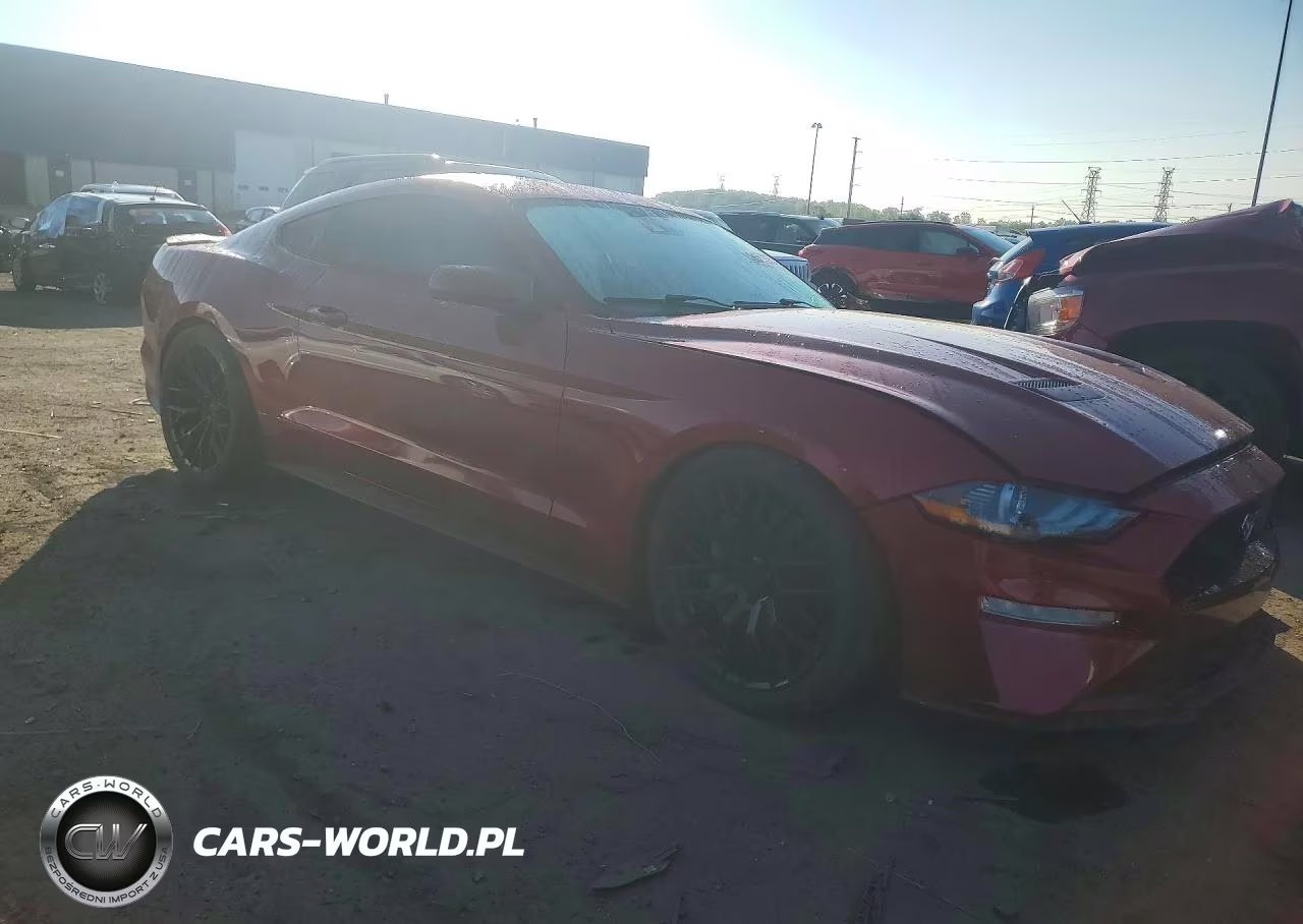2021 Ford Mustang Gt VIN:1FA6P8CF0M5141556 - 4