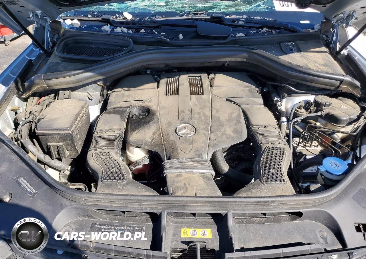 2018 Mercedes-Benz Gls 450 VIN:4JGDF6EE8JB171412 - 12