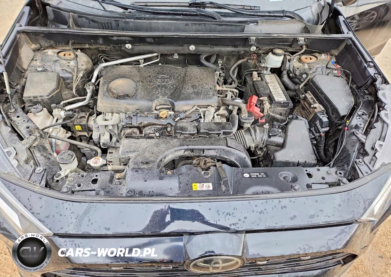 2019 Toyota Rav4 Xle VIN:2T3P1RFV0KC058886 - 11