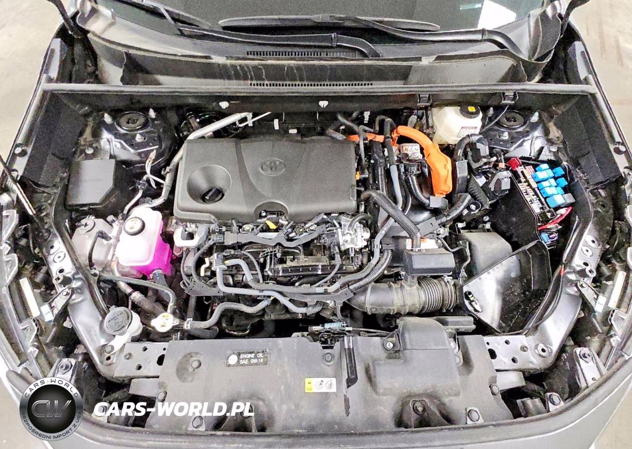 2025 Toyota Rav4 Le VIN:4T3LWRFV6SU215321 - 12