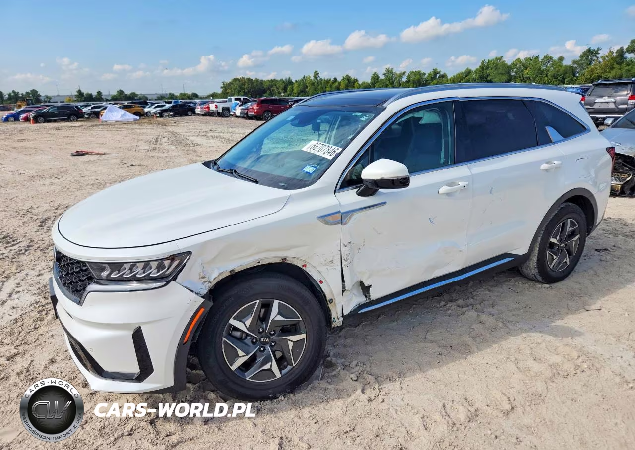 2021 Kia Sorento Ex VIN:KNDRH4LG5M5054354 - 1