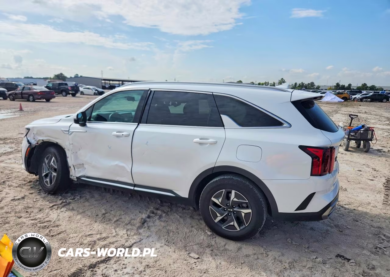 2021 Kia Sorento Ex VIN:KNDRH4LG5M5054354 - 2