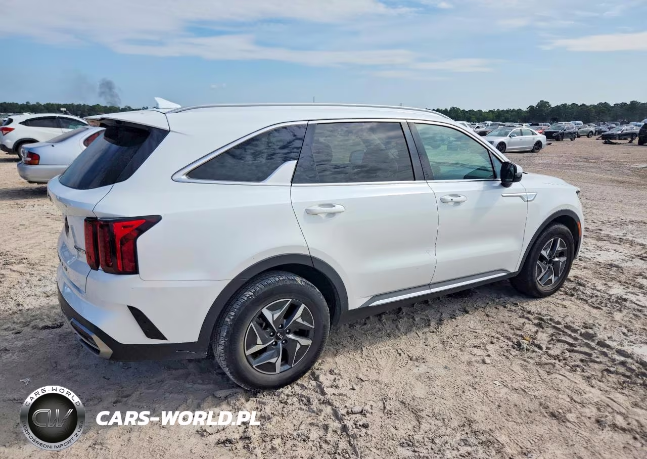 2021 Kia Sorento Ex VIN:KNDRH4LG5M5054354 - 3