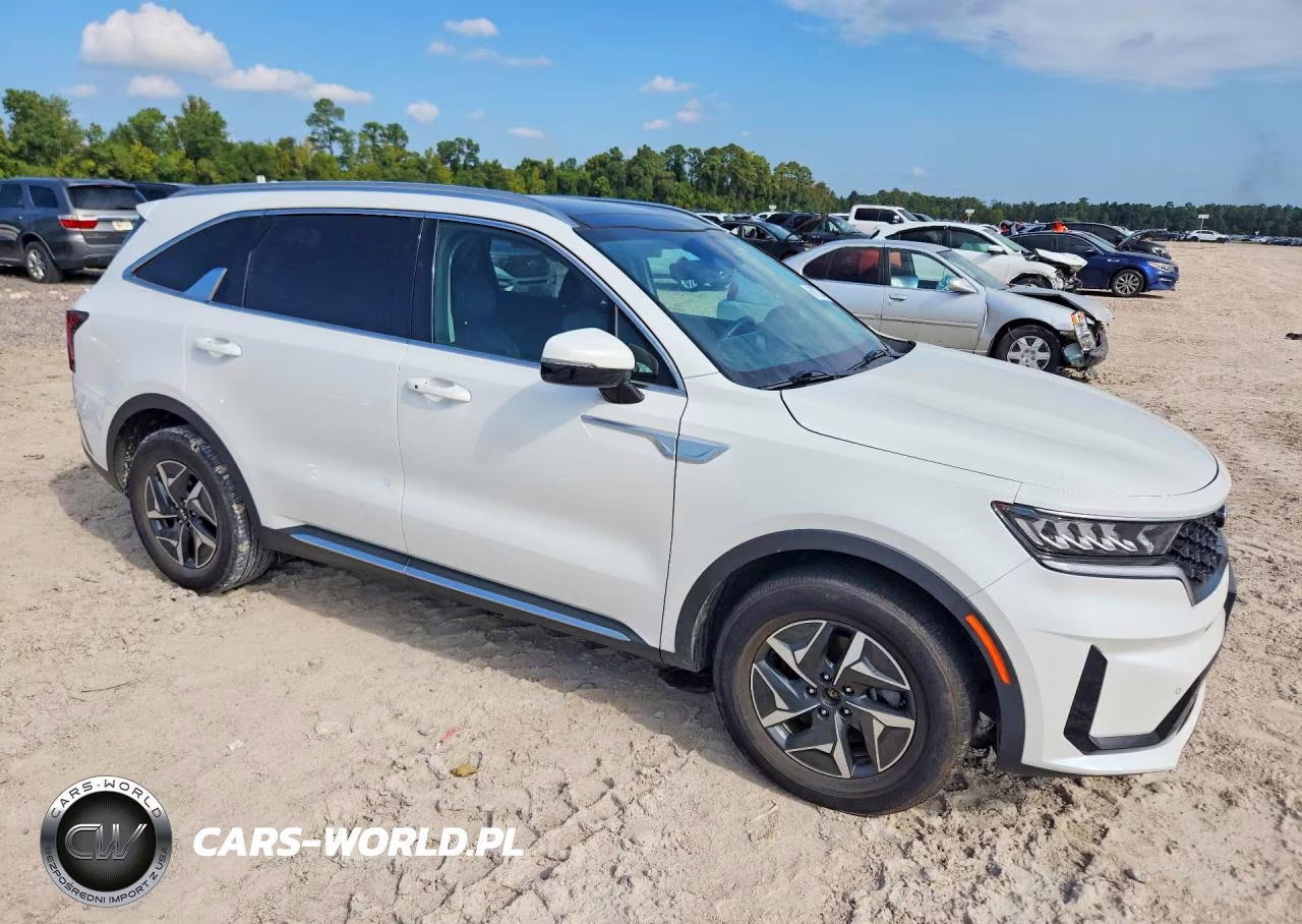 2021 Kia Sorento Ex VIN:KNDRH4LG5M5054354 - 4
