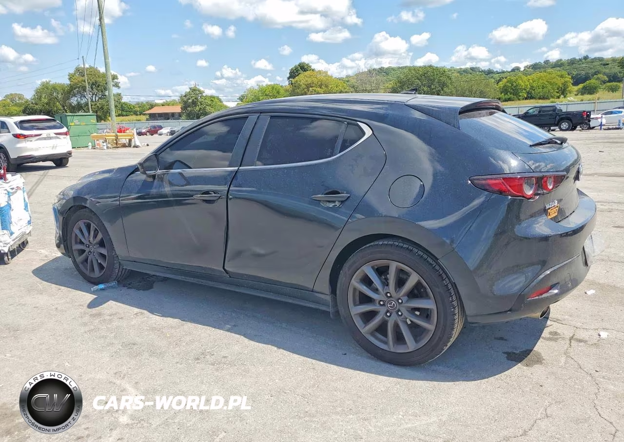 2019 Mazda 3 Preferred VIN:JM1BPAMM1K1132897 - 2