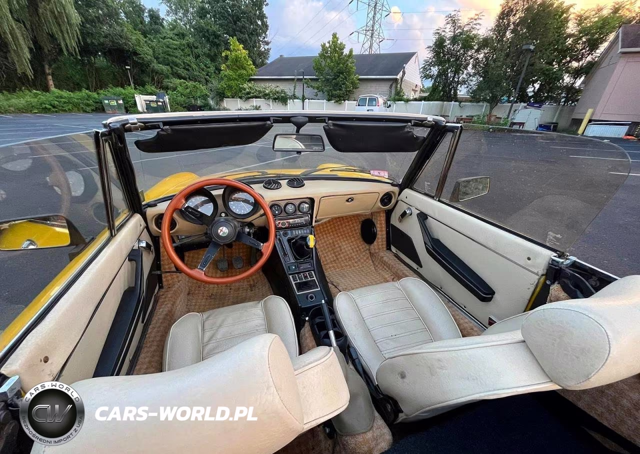 1983 Alfa Romeo Veloce 2000 Spider VIN:ZARBA5419D1016838 - 10