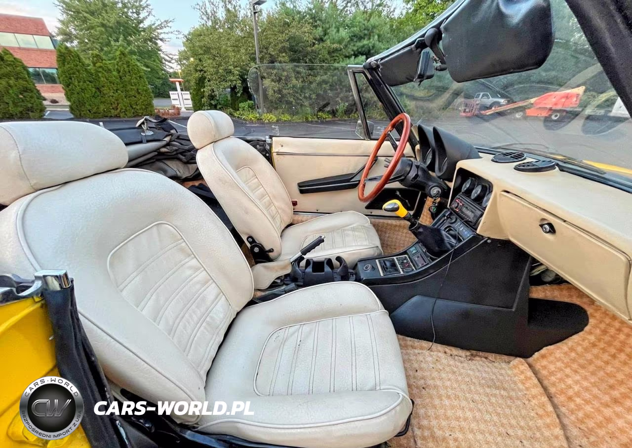 1983 Alfa Romeo Veloce 2000 Spider VIN:ZARBA5419D1016838 - 11