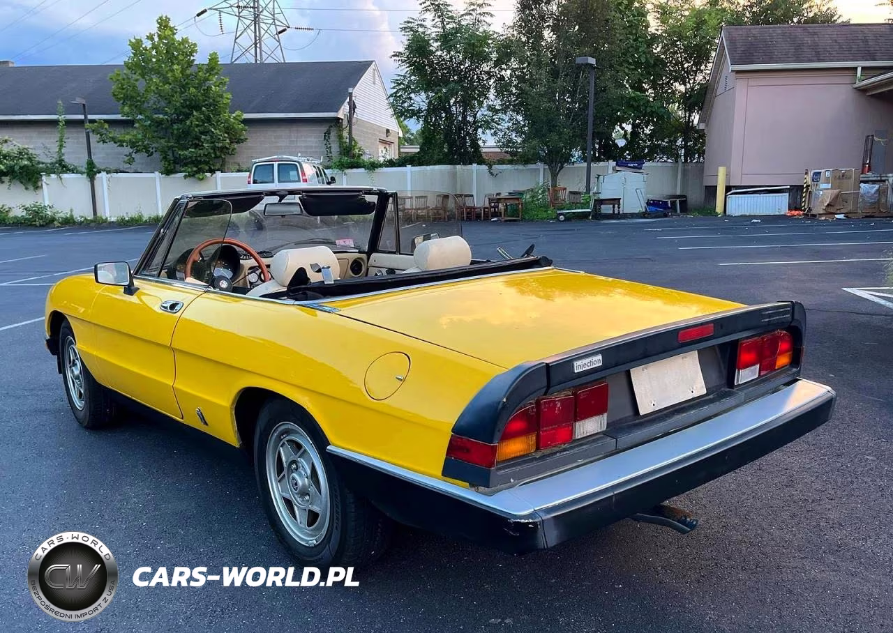 1983 Alfa Romeo Veloce 2000 Spider VIN:ZARBA5419D1016838 - 2