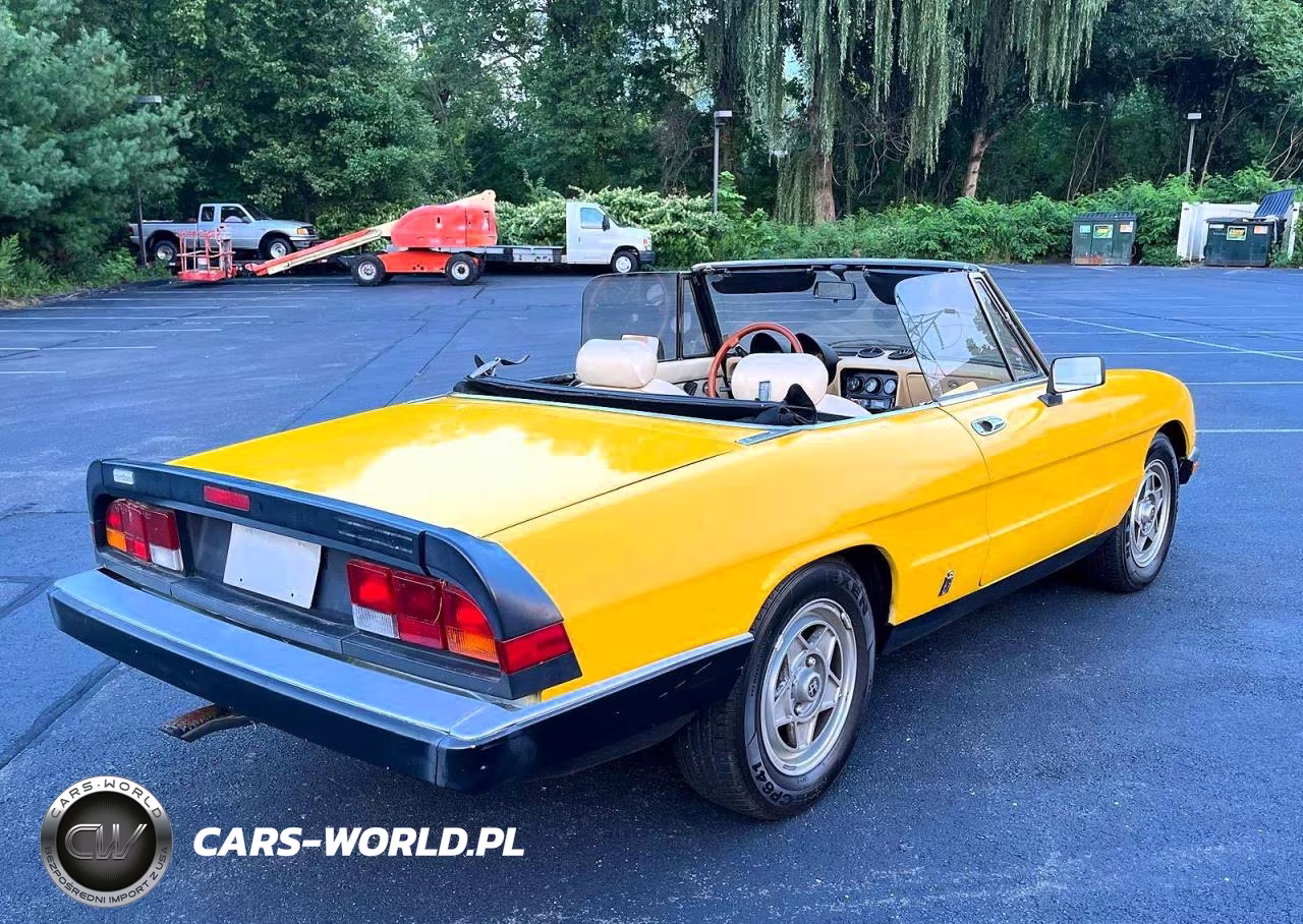 1983 Alfa Romeo Veloce 2000 Spider VIN:ZARBA5419D1016838 - 3