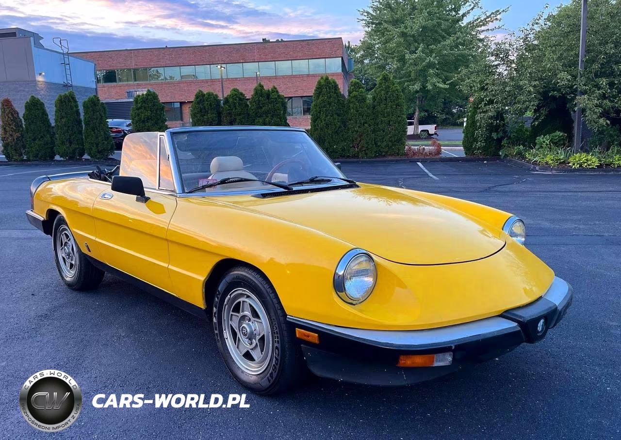 1983 Alfa Romeo Veloce 2000 Spider VIN:ZARBA5419D1016838 - 4