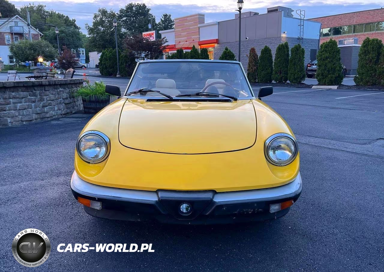 1983 Alfa Romeo Veloce 2000 Spider VIN:ZARBA5419D1016838 - 5