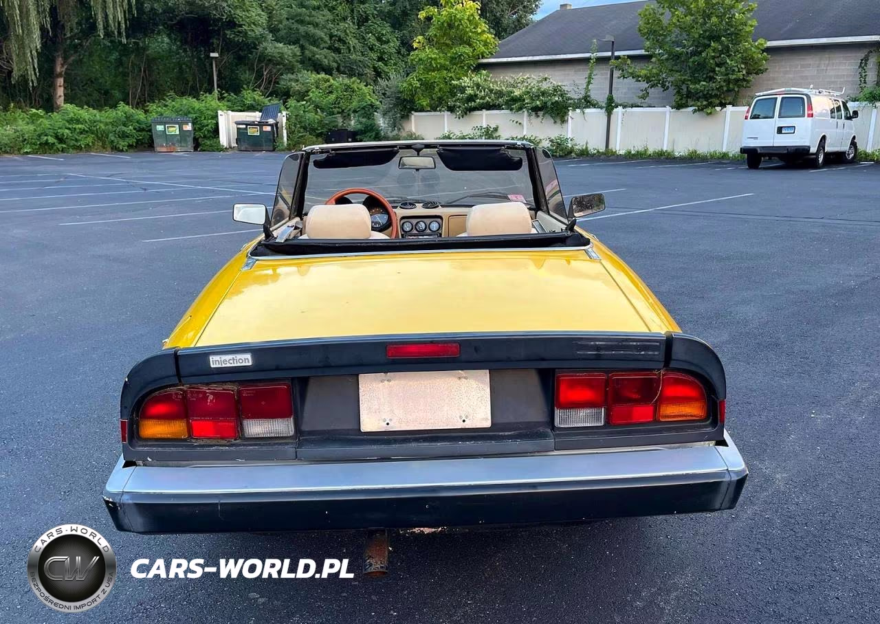 1983 Alfa Romeo Veloce 2000 Spider VIN:ZARBA5419D1016838 - 6