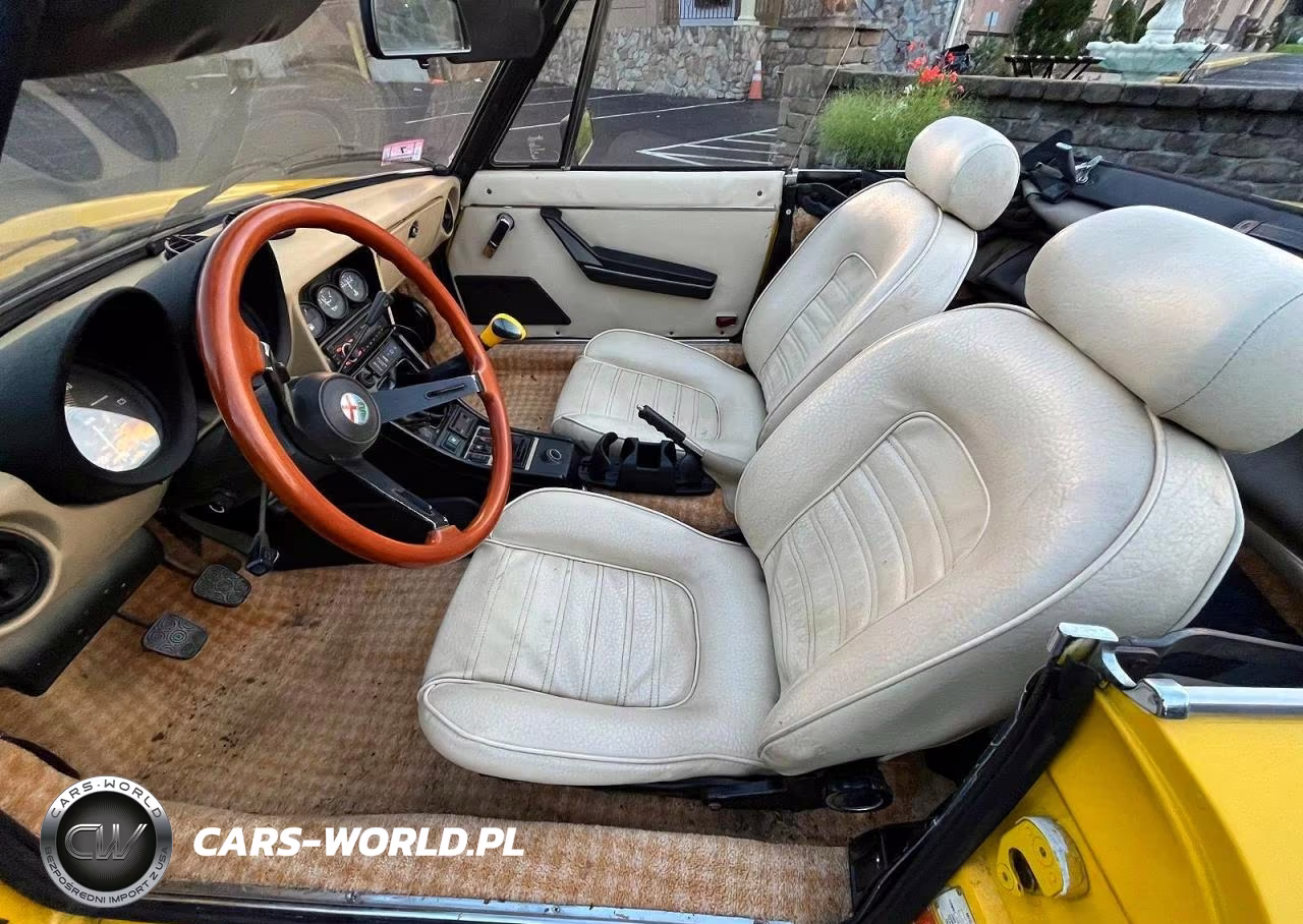 1983 Alfa Romeo Veloce 2000 Spider VIN:ZARBA5419D1016838 - 9