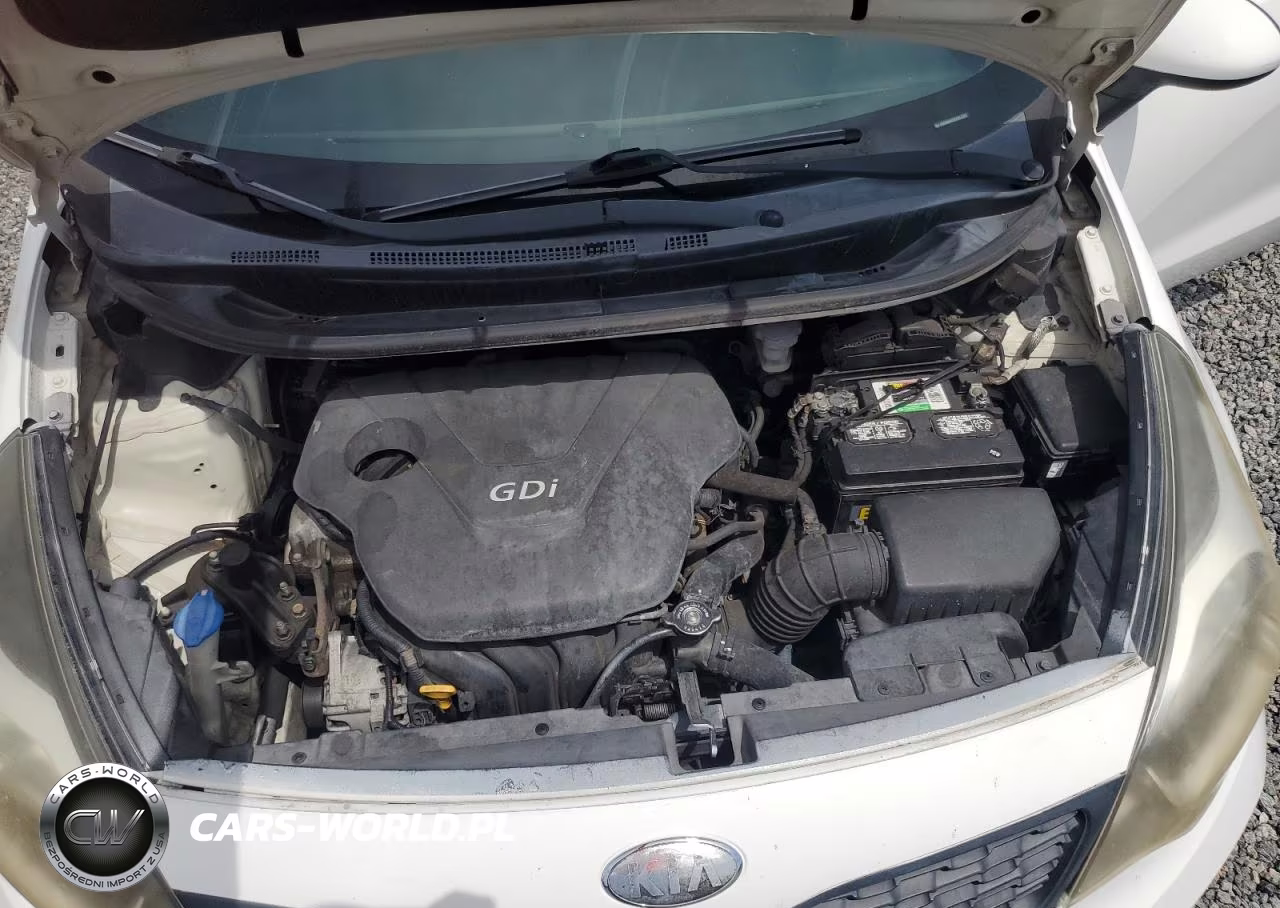 2014 Kia Rio Lx VIN:KNADM4A33E6364565 - 11
