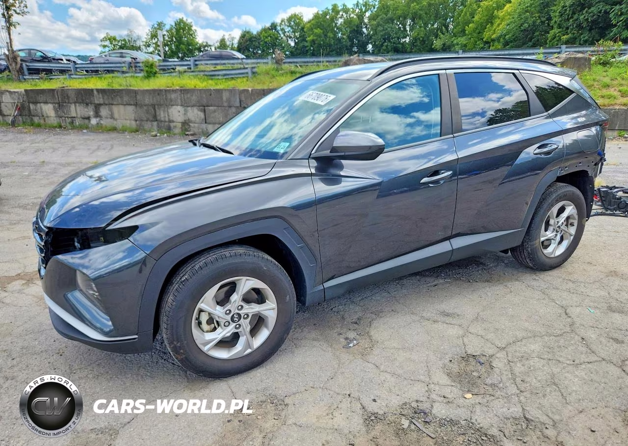 2024 Hyundai Tucson Sel VIN:5NMJBCDE9RH319268 - 1