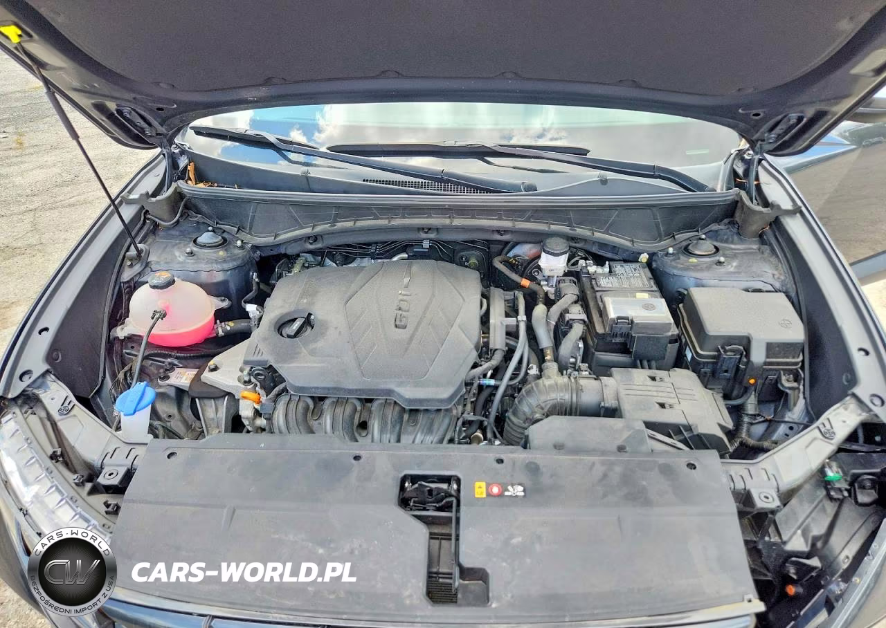 2024 Hyundai Tucson Sel VIN:5NMJBCDE9RH319268 - 12
