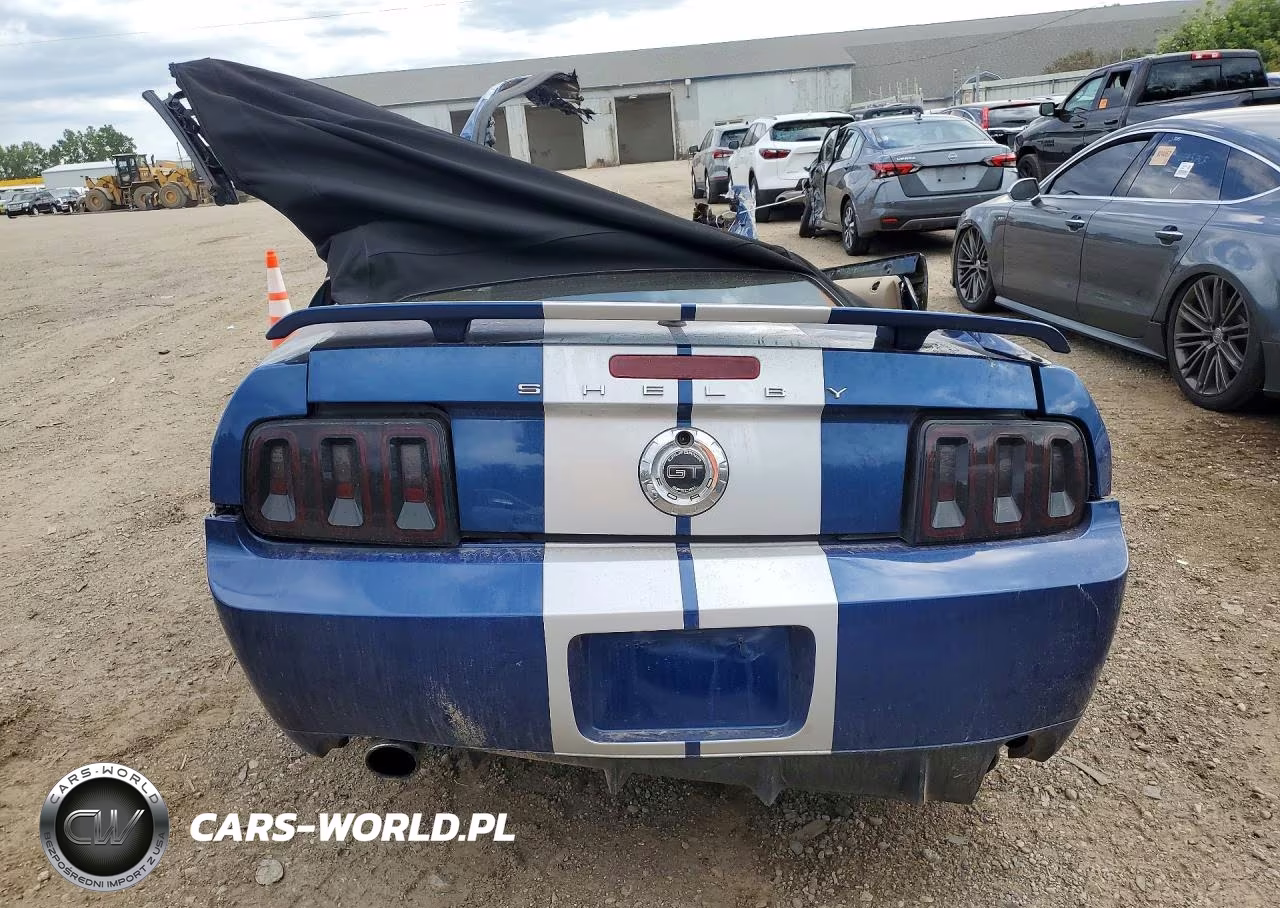2008 Ford Mustang Gt VIN:1ZVHT85H385157864 - 6