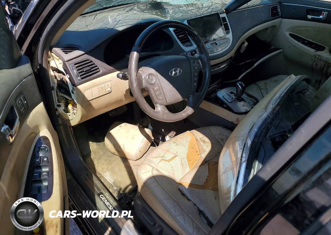 2010 Hyundai Genesis 4.6L VIN:KMHGC4DF8AU094081 - 8