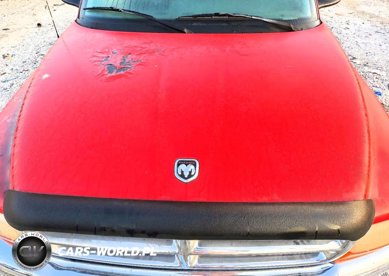 1998 Dodge Dakota VIN:1B7GL22Y6WS533701 - 11