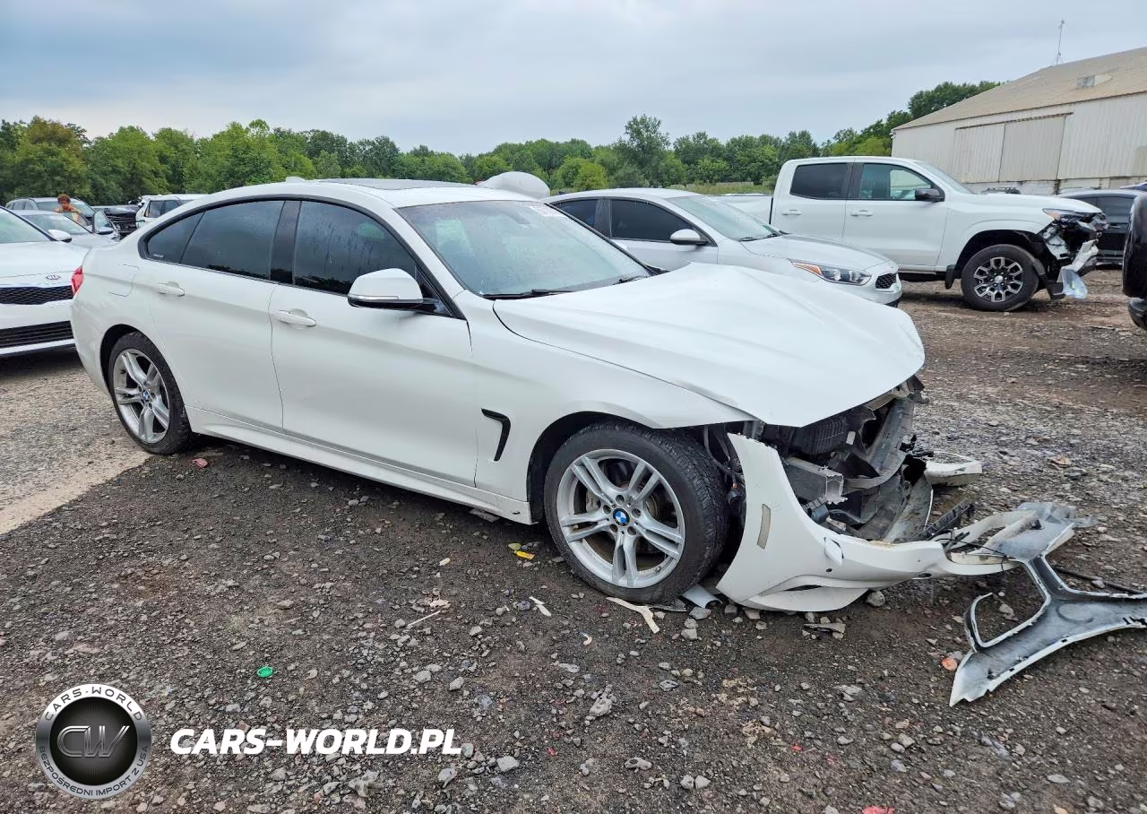 2016 BMW 428 Xi Gran Coupe Sulev VIN:WBA4C9C59GG137392 - 4