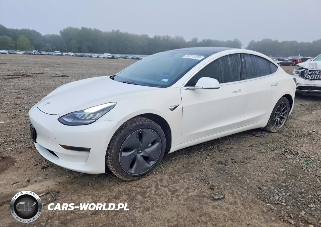 2019 Tesla Model 3