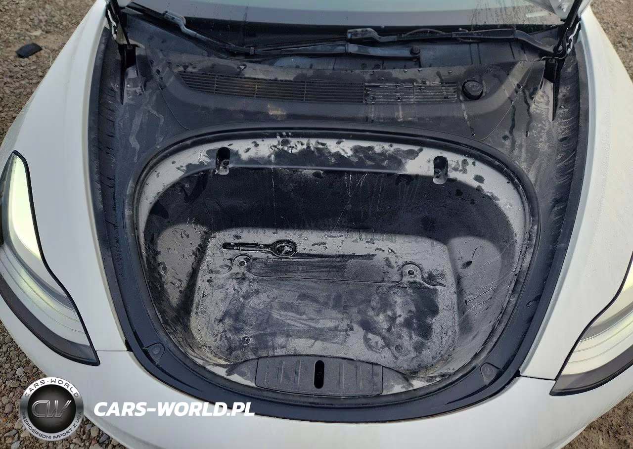 2019 Tesla Model 3 VIN:5YJ3E1EA3KF425111 - 11