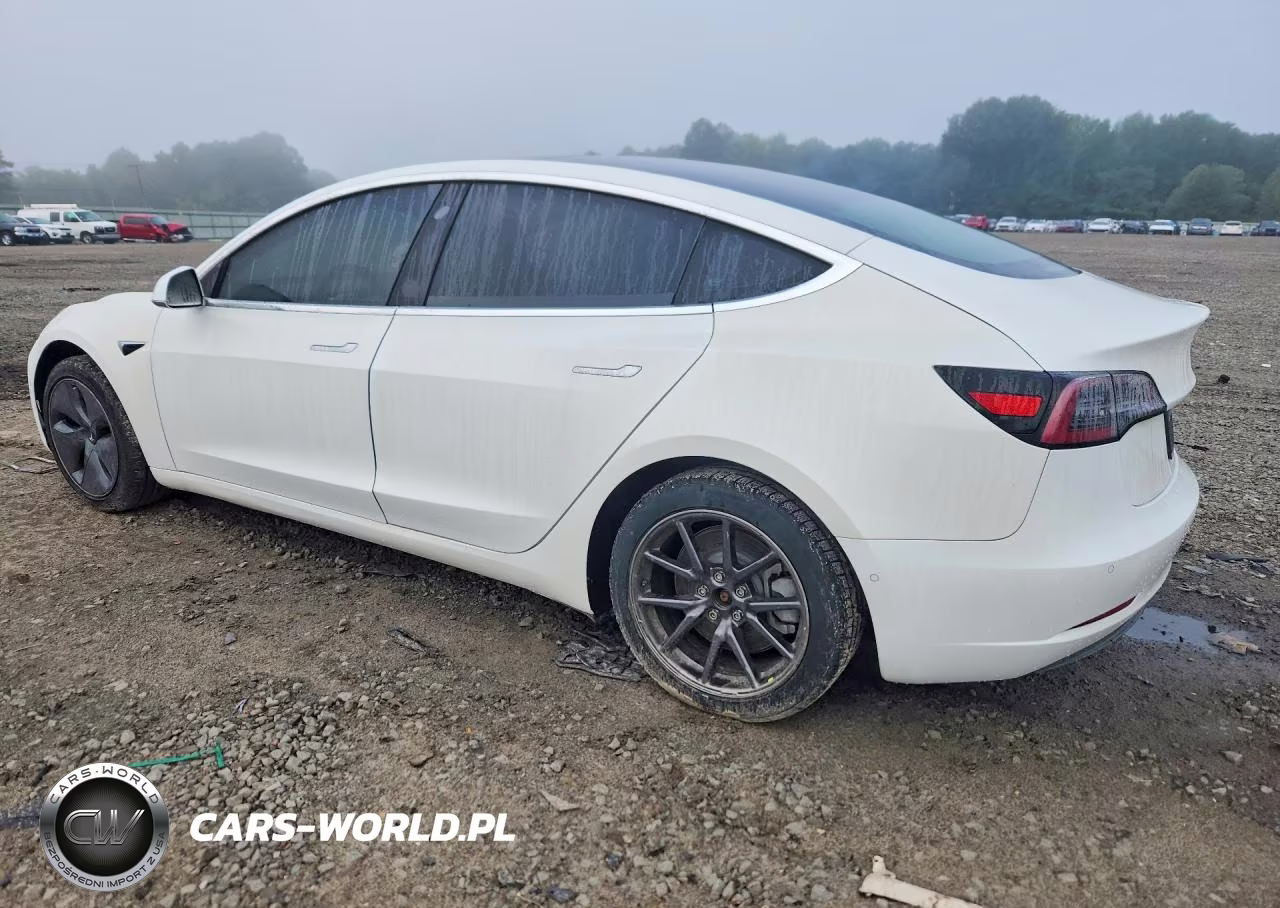 2019 Tesla Model 3 VIN:5YJ3E1EA3KF425111 - 2