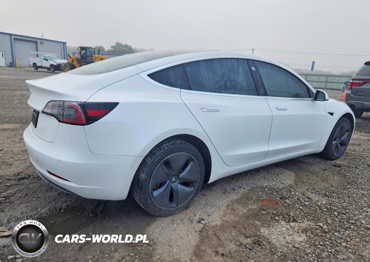 2019 Tesla Model 3 VIN:5YJ3E1EA3KF425111 - 3