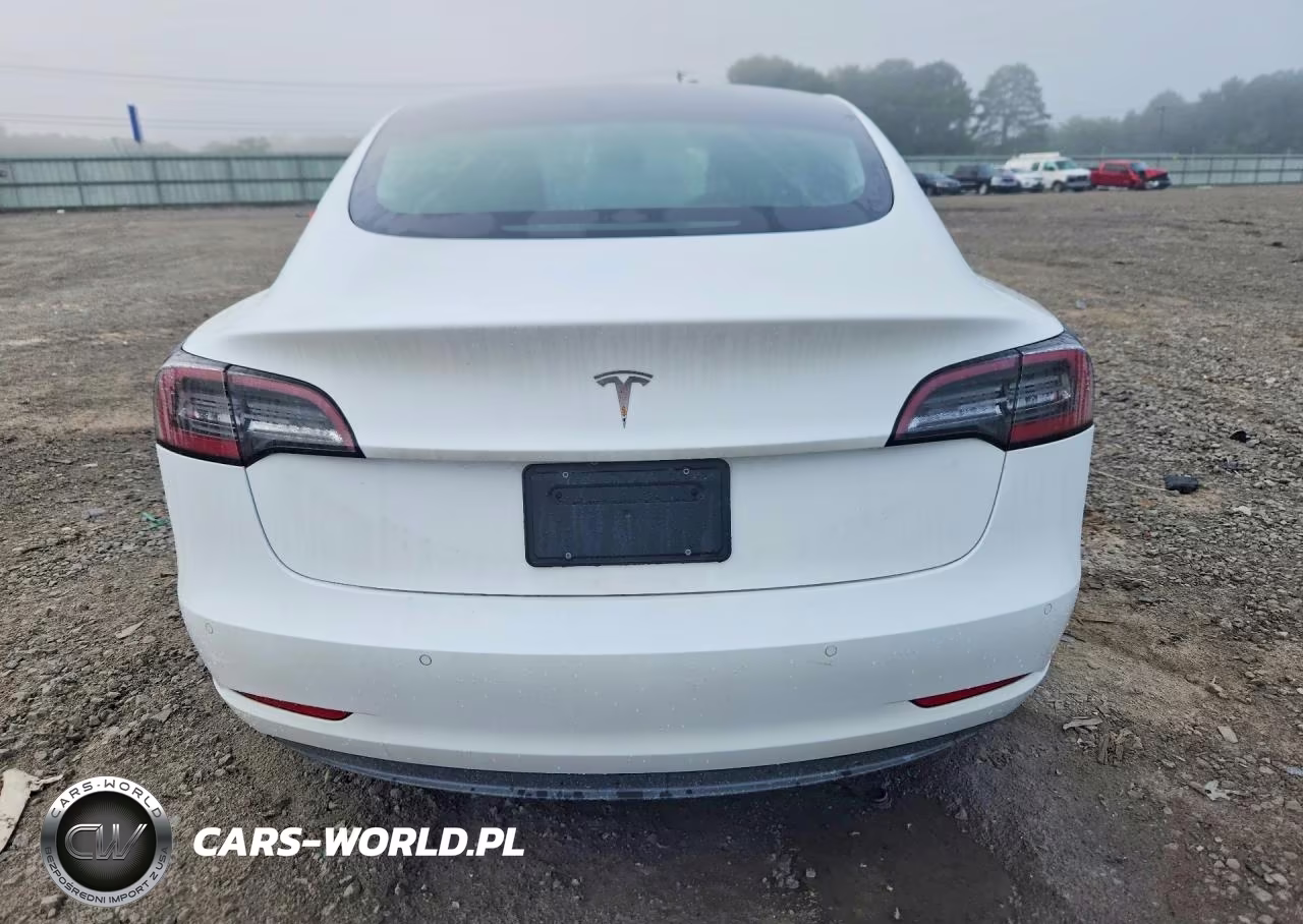 2019 Tesla Model 3 VIN:5YJ3E1EA3KF425111 - 6