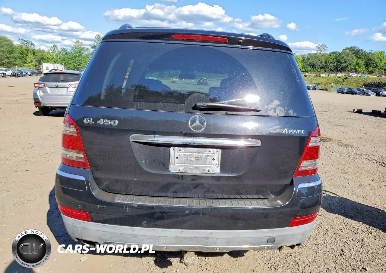 2008 Mercedes-Benz Gl 450 4Matic VIN:4JGBF71E58A365818 - 6