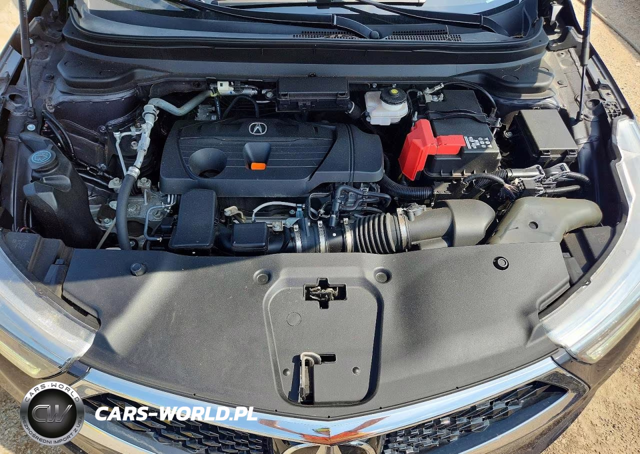 2019 Acura Rdx Technology VIN:5J8TC2H53KL016504 - 11
