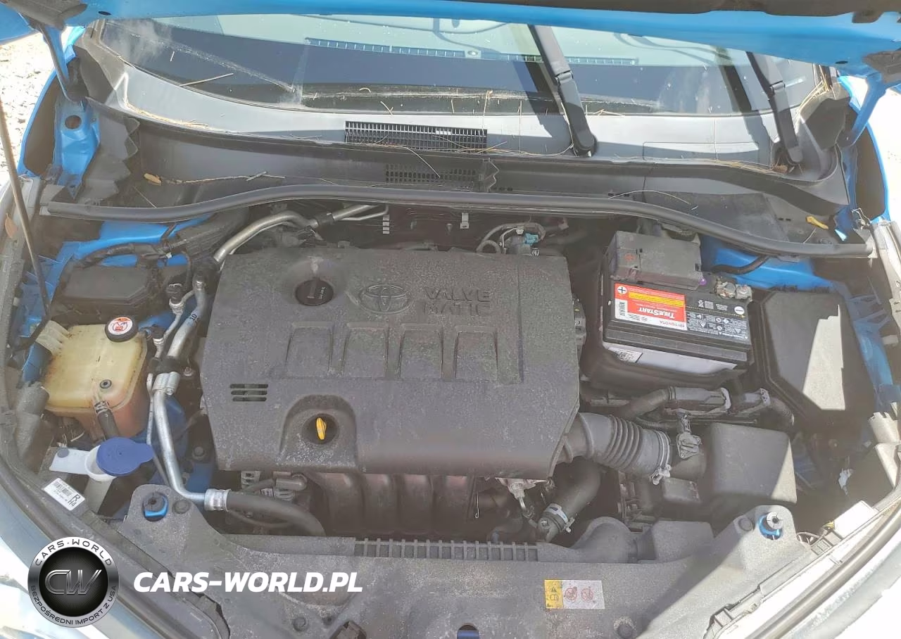 2019 Toyota C-Hr Xle VIN:NMTKHMBX8KR082495 - 12